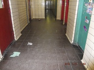 The Thugs and Criminals do whatever they please here in the lobby where the NYPD Viper 15 unit just ignores everything!!