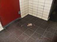 The Mice and Roaches Have Been Left Another Meal Of Garbage On The  Lobby Floor!!