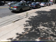 This Sidewalk Is Breaking Up Again Because Of The N.Y.C.H.A. Truck Rolling Over It Every Day!!