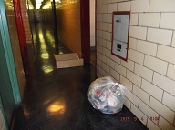 There Are Eleven Apartments On This Floor But Only Two Drug Dealing Families That Abuse Everyone Else Day And Night!! The NYCHA And The NYPD Continue To Just Look The Other Way!!