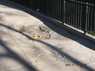 A Closeup Picture Of This New York City Housing Authority Cratered Sidewalk That Has Been Tripping People For Many, Many Years Now!!