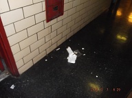 Basic Cleanliness, Among Other Things, Is Not Properly Taught In This NYCHA Building; Thus We Have Mice, Rats, And Roaches Everywhere!!