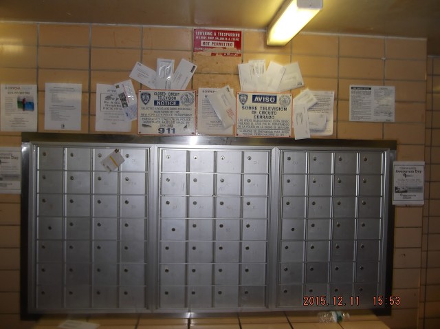 Our Mailman Shames The Postal Service, Daily!!