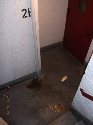 More Uncleaned Filth Left By Our Lazy Caretaker!!