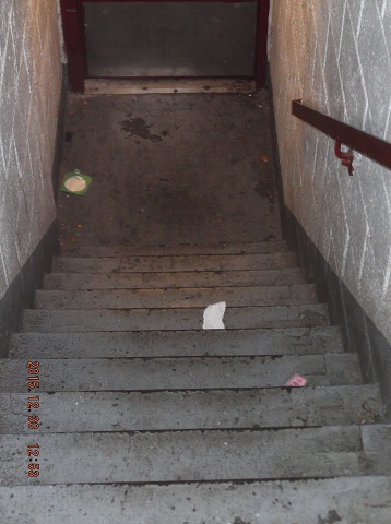 Our No Show Caretaker Has Still Not Cleaned This Stairwell!!