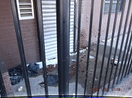 This Disgraceful Mess Has Been Left Here For Many Months By Our New Very Lazy NYCHA Caretaker!! An H.P.D. Inspector Was Here Today To Look At This Filth!!