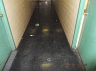 Every Day I Open My Apartment Door To See The Swill On The Hallway Floor Placed There By The Apartment 2C Narcotics Dealers And Their Customers!! The NYCHA Management Ignores This Daily Harassment Because The Richmond Terrace Houses Drug Dealers Are Allowed To Terrorize The Decent Tenants 24/7!!