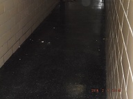 The Hallways Belong To The Drug Gangs And Their Criminal Sponsors That Dare You To Come Out  Of Your Apartment And Fight Them Within Their Gang Turf Hallway!!