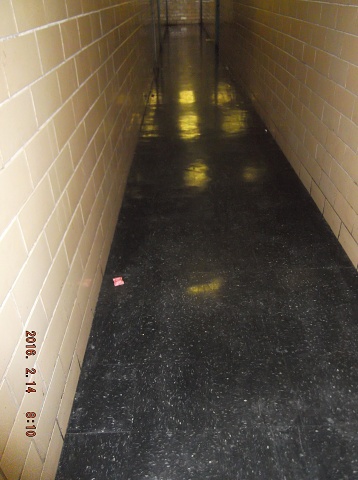 Every Day The Same Swill Is Still On The Hallway Floor!!