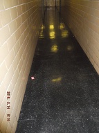 New New York City Housing Authority Caretaker Takes The Money But Does Not Do The Cleaning Work!! This Is Day Two Of Looking At The Same Swill Upon The Hallway Floor!!