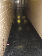 New New York City Housing Authority Caretaker Takes The Money But Does Not Do The Cleaning Work!! This Is Day Three Of Looking At The Same Swill From The 2C Drug Merchants, And Their Thugs, Upon The Hallway Floor!!
