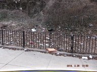 Once Again I Will Have To Go Into Staten Island Housing Court To Get The New York City Housing Authority To Finally Clean Up This Massive Filth!! Your Service Request Number is:C1-1-1217481611 Status The Department of Sanitation investigated this complaint and found no violation at the location. This Rat Farm Number One!!