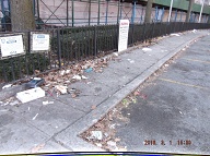 Once Again I Will Have To Go Into Staten Island Housing Court To Get The New York City Housing Authority To Finally Clean Up This Massive Filth!! Rat Farm Number Two!!