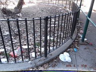 Once Again I Will Have To Go Into Staten Island Housing Court To Get The New York City Housing Authority To Finally Clean Up This Massive Filth!! Rat Farm Number Two!!