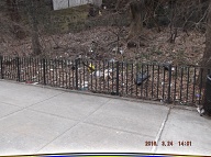 On My Way To The Bus Stop On Richmond Terrace This Morning I Had To Once Again Stare At Satan's Swill That Has Still Not Been Cleaned Up On The Even Side Of Jersey Street!! It Is Against The Religion Of NYCHA Management To Ever Completely Clean Up Here!! When I Got Home I Took These Pictures From Richmond Terrace To The Parking Lot!!