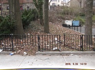 On My Way To The Bus Stop On Richmond Terrace This Morning I Had To Once Again Stare At Satan's Swill That Has Still Not Been Cleaned Up On The Even Side Of Jersey Street!! It Is Against The Religion Of NYCHA Management To Ever Completely Clean Up Here!! When I Got Home I Took These Pictures From Richmond Terrace To The Parking Lot!!