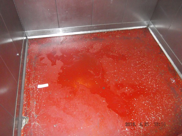 Today The Urine Is Also All Over The Elevator B Floor!!