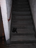 There Is No Telling What Is In This Black Bag Left In Stairway A!! I Am Not Going To Touch It!!