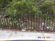 The Richmond Terrace Houses Rat Farm Number One Of The New York City Housing Authority Remains In Full Bloom Despite Numerous Certified Mail To Mayor De Blasio, Borough President Oddo, And Public Advocate Leticia James!!