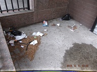 This Trash Has Still Not Been Cleaned Up!! The Only Thing The Management Of The New York City Housing Authority Is Concerned About Here Is The Ongoing Selling Of Their Illegal Drugs!!