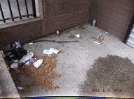 Yet Another Day And The Trash Just Keeps Piling Up!! Our Lazy Caretaker Will Not Clean It Up Until I File Yet More Paperwork In Staten Island Housing Court Again!!