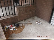 Today Is 5-9-16 And Naturally The Filth Is Still Piled Up By The Front Door Because It Is Against The Lazy NYCHA Caretaker's Religion To Clean It Up!! Our Manager Is Useless And His Bosses Want Satanville's Illegal Activities Operating 24/7!!