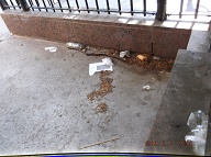 Today Is 6-2-16 And Naturally The Filth Is Still Piled Up By The Front Door Because It Is Against The Lazy NYCHA Caretaker's Religion To Clean It Up!! Our Manager Is Useless And His Bosses Want Satanville's Illegal Activities Operating 24/7!!