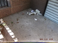 Today Is 6-13-16 And Naturally The Filth Is Still Piled Up By The Front Door Because It Is Against The Lazy NYCHA Caretaker's Religion To Clean It Up!! Our Manager Is Useless And His Bosses Want Satanville's Illegal Activities Operating 24/7!!