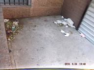 Today Is 6-24-16 And Naturally The Filth Is Still Piled Up By The Front Door Because It Is Against The Lazy NYCHA Caretaker's Religion To Clean It Up!! Our Manager Is Useless And His Bosses Want Satanville's Illegal Activities Operating 24/7!!