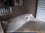 Today Is 7-5-16 And Naturally The Filth Is Still Piled Up By The Front Door Because It Is Against The Lazy NYCHA Caretaker's Religion To Clean It Up!! Our Manager Is Useless And His Bosses Want Satanville's Illegal Activities Operating 24/7!!