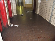 Today I Went To The Lobby To Check My Mailbox And The Swill Was Spread Out All Over The Lobby!! The NYCHA Caretaker Never Showed Up Today!! She Was Last Here On Monday!!