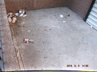 A New Tally Is In Order To See How Long That This Mess Stays In Front Of This Notorious N.Y.C.H.A. Building With The No Show Female Caretaker That Takes The Money But Never Does The Job Correctly!! IT HAS BEEN ONE WHOLE MONTH NOW SINCE THIS HAS BEEN CLEANED BY OUR LAZY NO SHOW FEMALE NYCHA CARETAKER!!  Please Read: <a href="http://www.paynal.com/parables.php?id=323">http://www.paynal.com/parables.php?id=323</a>