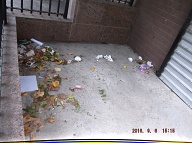 TODAY IS SEPTEMBER 6,, 2016 AND OUR LAZY NO SHOW JOB N.Y.C.H.A. CARETAKER IS STILL A.W.O.L. THE TRASH PILES UP OUT FRONT WHICH IS JUST WHAT SATAN WANTS HERE, PLENTY OF SLIME AND PLENTY OF SWILL!!  Please  Read: <a href="http://www.paynal.com/parables.php?id=323">http://www.paynal.com/parables.php?id=323</a>
