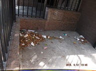 TODAY IS SEPTEMBER 12, 2016 AND OUR LAZY  N.Y.C.H.A. CARETAKER IS STILL ONLY DOING A HALF ASS JOB HERE!! THE TRASH ENDLESSLY PILES UP OUT FRONT WHICH IS JUST WHAT SATAN WANTS HERE, PLENTY OF SLIME AND PLENTY OF SWILL!! Please Read:  <a href="http://www.paynal.com/parables.php?id=323">http://www.paynal.com/parables.php?id=323</a>