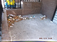 TODAY IS SEPTEMBER 14, 2016 AND OUR LAZY  N.Y.C.H.A. CARETAKER IS STILL ONLY DOING A HALF ASS JOB HERE!! THE TRASH ENDLESSLY PILES UP OUT FRONT WHICH IS JUST WHAT SATAN WANTS HERE, PLENTY OF SLIME AND PLENTY OF SWILL!! Please Read:  <a href="http://www.paynal.com/parables.php?id=323">http://www.paynal.com/parables.php?id=323</a>