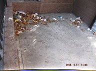 TODAY IS SEPTEMBER 17, 2016 AND OUR LAZY  N.Y.C.H.A. CARETAKER IS STILL ONLY DOING A HALF ASS JOB HERE!! THE TRASH ENDLESSLY PILES UP OUT FRONT WHICH IS JUST WHAT SATAN WANTS HERE, PLENTY OF SLIME AND PLENTY OF SWILL!! Please Read:  <a href="http://www.paynal.com/parables.php?id=323">http://www.paynal.com/parables.php?id=323</a>