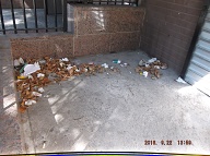 TODAY IS SEPTEMBER 22, 2016 AND OUR LAZY  N.Y.C.H.A. CARETAKER IS STILL ONLY DOING A HALF ASS JOB HERE!! THE TRASH ENDLESSLY PILES UP OUT FRONT WHICH IS JUST WHAT SATAN WANTS HERE, PLENTY OF SLIME AND PLENTY OF SWILL!! Please Read:  <a href="http://www.paynal.com/parables.php?id=323">http://www.paynal.com/parables.php?id=323</a>