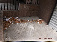 TODAY IS SEPTEMBER 27, 2016 AND OUR LAZY  N.Y.C.H.A. CARETAKER IS STILL ONLY DOING A HALF ASS JOB HERE!! THE TRASH ENDLESSLY PILES UP OUT FRONT WHICH IS JUST WHAT SATAN WANTS HERE, PLENTY OF SLIME AND PLENTY OF SWILL!! Please Read:  <a href="http://www.paynal.com/parables.php?id=323">http://www.paynal.com/parables.php?id=323</a>