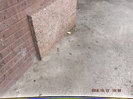 TODAY IS OCTOBER 12, 2016 AND THE DOG SHIT THAT I TOOK A PHOTO OF ON OCTOBER 5, 2016 IS STILL NEXT TO THE ENTRANCE DOORWAY OF THIS NOTORIOUS N.Y.C.H.A. BUILDING!!