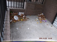 TODAY IS OCTOBER 25, 2016 AND OUR LAZY  N.Y.C.H.A. CARETAKER IS STILL ONLY DOING A HALF ASS JOB HERE!! THE TRASH ENDLESSLY PILES UP OUT FRONT WHICH IS JUST WHAT SATAN WANTS HERE, PLENTY OF SLIME AND PLENTY OF SWILL!! Please Read:  <a href="http://www.paynal.com/parables.php?id=323">http://www.paynal.com/parables.php?id=323</a>