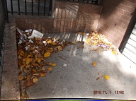 TODAY IS NOVEMBER 1, 2016 AND OUR LAZY  N.Y.C.H.A. CARETAKER IS STILL ONLY DOING A HALF ASS JOB HERE!! THE TRASH ENDLESSLY PILES UP OUT FRONT WHICH IS JUST WHAT SATAN WANTS HERE, PLENTY OF SLIME AND PLENTY OF SWILL!! Please Read:  <a href="http://www.paynal.com/parables.php?id=323">http://www.paynal.com/parables.php?id=323</a>