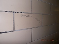 Satan's Savages The 2C Drug Thugs Have Placed More Of Their " Tags " Upon The Hallway Walls Of My Apartment!!
