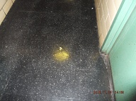 Satan's Savages The 2C Drug Thugs Have Placed More Of Their " Swill " Upon The Hallway Floor Right Outside Of My New York City Housing Authority Apartment Door!!