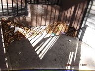 TODAY IS NOVEMBER 23, 2016 AND OUR LAZY  N.Y.C.H.A. CARETAKER IS STILL ONLY DOING A HALF ASS JOB HERE!! THE TRASH ENDLESSLY PILES UP OUT FRONT WHICH IS JUST WHAT SATAN WANTS HERE, PLENTY OF SLIME AND PLENTY OF SWILL!! Please Read:  <a href="http://www.paynal.com/parables.php?id=323">http://www.paynal.com/parables.php?id=323</a>