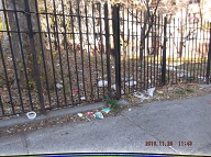 THIS IS " RAT FARM 3 " AT THE REAR OF 456 RICHMOND TERRACE AND ALONG WESTERVELT AVENUE WHICH IS ALWAYS FILTHY BECAUSE SATAN LIKES SLIME AND SWILL ABOUT HIS REALM HERE!!