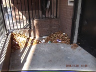 TODAY IS NOVEMBER 28, 2016 AND OUR LAZY  N.Y.C.H.A. CARETAKER IS STILL ONLY DOING A HALF ASS JOB HERE!! THE TRASH ENDLESSLY PILES UP OUT FRONT WHICH IS JUST WHAT SATAN WANTS HERE, PLENTY OF SLIME AND PLENTY OF SWILL!! Please Read:  <a href="http://www.paynal.com/parables.php?id=323">http://www.paynal.com/parables.php?id=323</a>