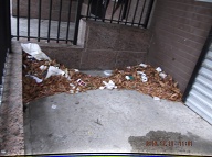 TODAY IS DECEMBER 12, 2016 AND OUR LAZY  N.Y.C.H.A. CARETAKER IS STILL ONLY DOING A HALF ASS JOB HERE!! THE TRASH ENDLESSLY PILES UP OUT FRONT WHICH IS JUST WHAT SATAN WANTS HERE, PLENTY OF SLIME AND PLENTY OF SWILL!! Please Read:  <a href="http://www.paynal.com/parables.php?id=323">http://www.paynal.com/parables.php?id=323</a>