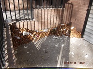 TODAY IS DECEMBER 23, 2016 AND OUR LAZY  N.Y.C.H.A. CARETAKER IS STILL ONLY DOING A HALF ASS JOB HERE!! THE TRASH ENDLESSLY PILES UP OUT FRONT WHICH IS JUST WHAT SATAN WANTS HERE, PLENTY OF SLIME AND PLENTY OF SWILL!! Please Read:  <a href="http://www.paynal.com/parables.php?id=323">http://www.paynal.com/parables.php?id=323</a>