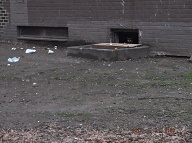 This Nasty Filth Is At The Rear Of 456 Richmond Terrace!! Do You See The Feral Cat In This Picture??