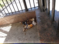 It Is " Against The Religion " Of Our Lazy " No Show Job " New York City Housing Authority Caretaker To Clean This Area At The Entranceway Door Of 131 Jersey Street!!